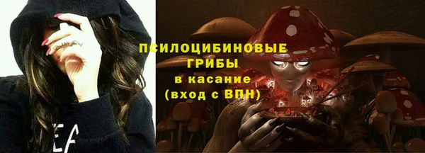 эйфоретик Алзамай