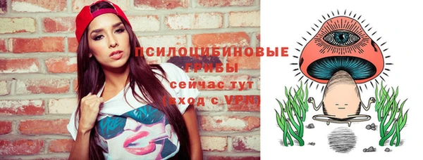 эйфоретик Алзамай