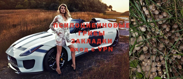 эйфоретик Алзамай