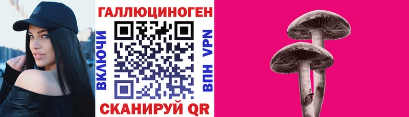 МЕГА зеркало  Шелехов  Галлюциногенные грибы Magic Shrooms 